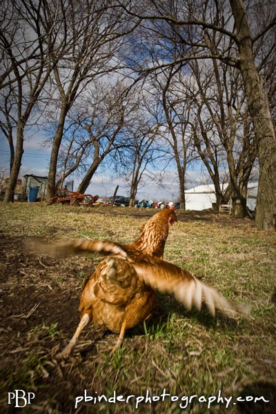 kansas city portrait photography by patrick binder