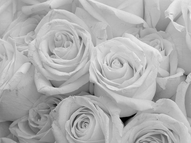 kansas city wedding photography by patrick binder